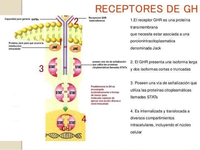 Imagen9